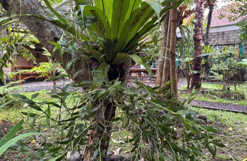 Muncar Hostel | Teluk Biru Homestay