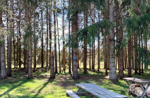 Beaver Dams RV Rental | Tempest Ranch Camp is perfect for nature lovers. Close to Watkins Glen.
