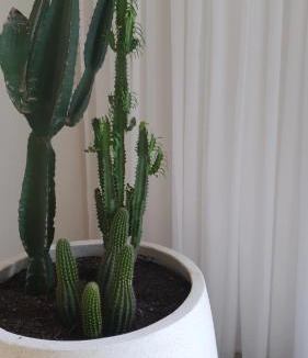 Beechmont Bed & Breakfast | Ten Acres