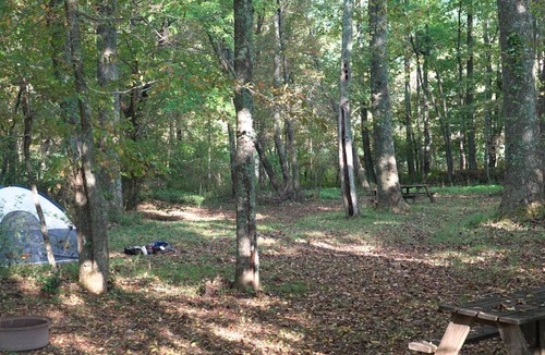 Suches RV Rental | Tent Space – Assigned Spot with Electrical #5