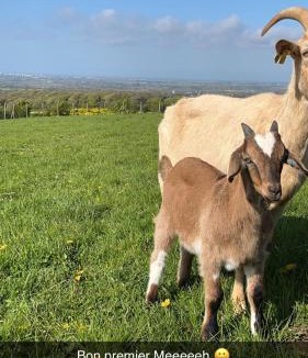 Fiennes Other | Tente à la Ferme
