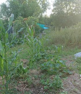 Creysse Other | Tente en permaculture pirate