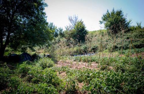 Creysse Other | Tente en permaculture pirate