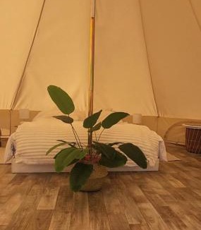 Le Pin Other | Tente Glamping