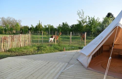 Tuffalun Other | Tente Lima