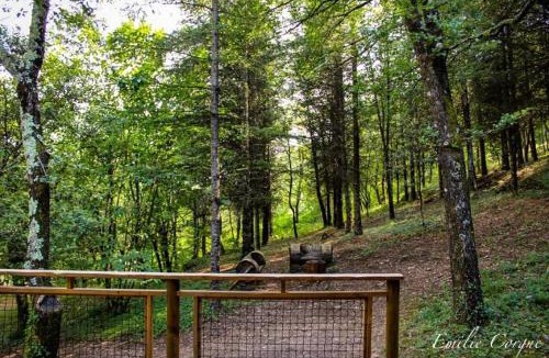 Anduze Other | Tente RENARD 5 PERSONNES CAMPING LOU CANTOU CEVENOL