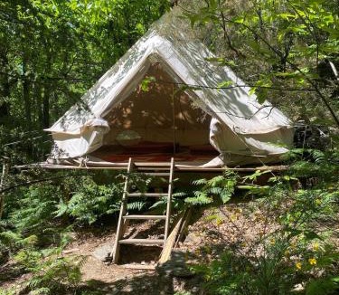 Dompnac Other | Tente tipi en forêt de châtaigniers