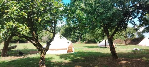 Inzinzac-Lochrist Other | tente western