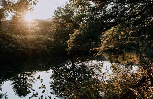 Ellenville Other | Tentrr - Forest with a Trout Creek