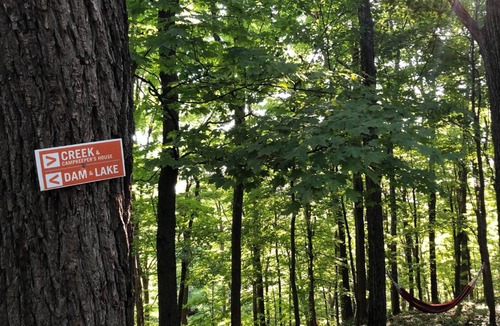 Ottsville Other | Tentrr - Nockamixon Forest Camp