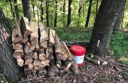 Ottsville Other | Tentrr - Nockamixon Forest Camp