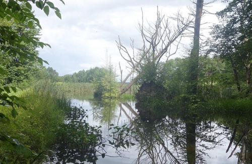 Harpursville RV Rental | Tentrr Signature Site - High Meadow Tree Farm