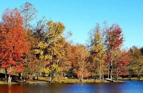 Cumberland RV Rental | Tentrr Signature Site - Shepherd's Meadow