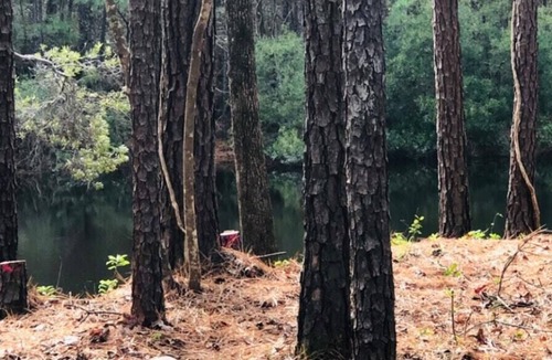 Huntsville RV Rental | Tentrr Signature Site - Exodus XX: Lakefront Private Campsite at Shabbat Retreat