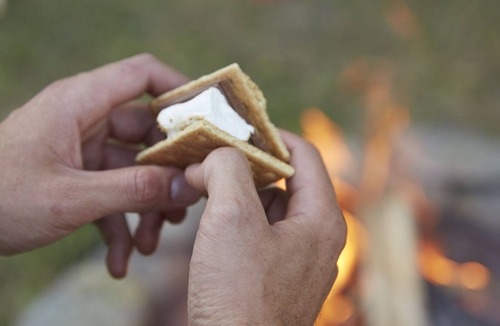 Kresgeville RV Rental | Tentrr Signature Site - Stream Side