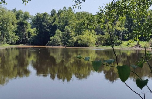 Mamers RV Rental | Tentrr Signature Site - Meadow Escape at CATHIS Farm