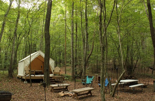 Pittsville RV Rental | Tentrr Signature Site - The Babbling Brook