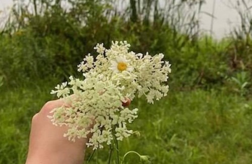 Ouaquaga RV Rental | Tentrr Signature Site - Agfa Lake