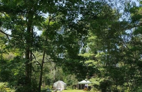 Canaan RV Rental | Tentrr Signature Site - Base Camp