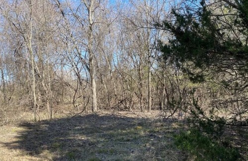 Irene RV Rental | Tentrr Signature Site - Blue Moon Camping (Woods)