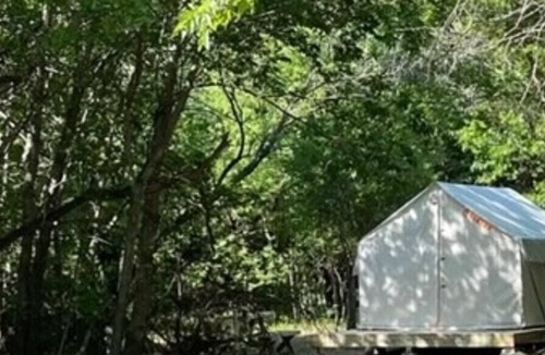 Irene RV Rental | Tentrr Signature Site - Blue Moon Camping (Meadow)