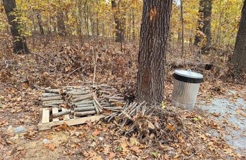 Maysville RV Rental | Tentrr Signature Site - Leaning Tree Woods