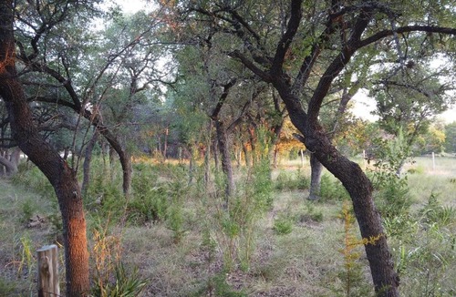 Johnson City Other | Tentrr Signature Site - Prickly Pear