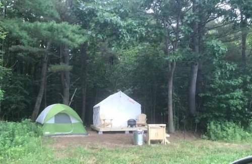 Johnstown RV Rental | Tentrr Signature Site - Dreamroad Farm Pine Tree