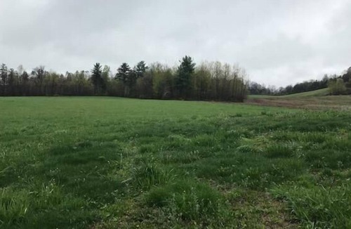 Johnstown RV Rental | Tentrr Signature Site - Dreamroad Farm Pine Tree