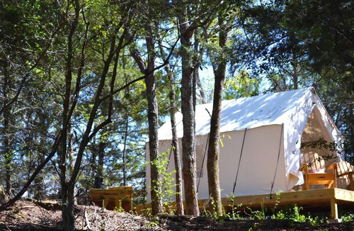 Montalba RV Rental | Tentrr Signature Site - Whispering Oaks Pond View