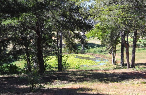 Montalba RV Rental | Tentrr Signature Site - Whispering Oaks Pond View