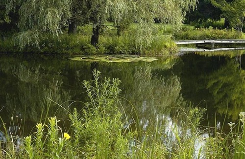 Bovina Center RV Rental | Tentrr Signature Site - Wolf Camp