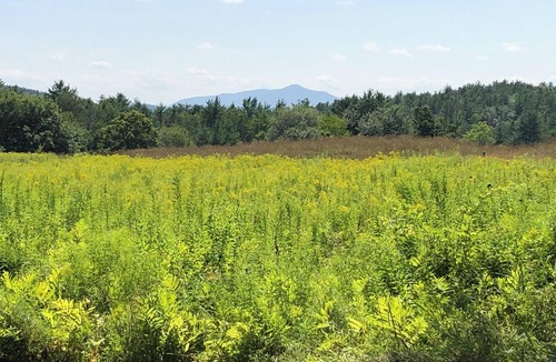 Lebanon RV Rental | Tentrr Signature Site - Ascutney View
