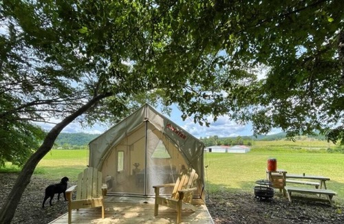 Pence Springs RV Rental | Tentrr Signature Site - Skyhawk