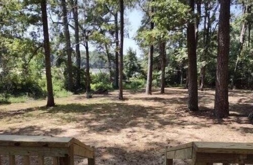Huntsville RV Rental | Tentrr State Park Site - Texas Huntsville State Park - Site A - Single Camp