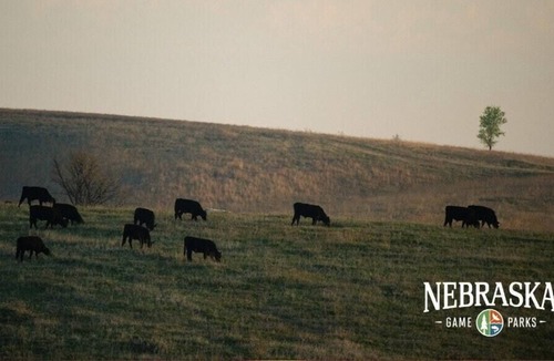 Loup City RV Rental | Tentrr State Park Site - Nebraska Sherman SRA – Redwood Lakeview A – Single Ca
