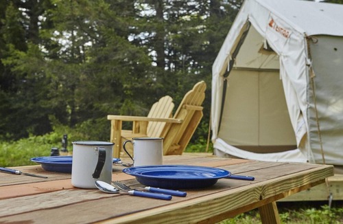 Texas Gulf Coast Region RV Rental | Tentrr State Park Site - Texas Brazos Bend State Park - Trailside B - Single Cam