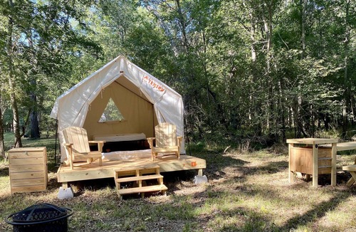 Texas Gulf Coast Region RV Rental | Tentrr State Park Site - Texas Brazos Bend State Park - Trailside C - Single Cam