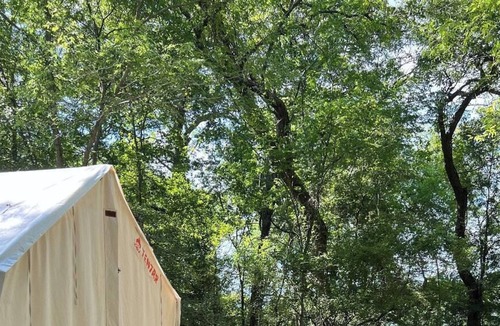 Texas Gulf Coast Region RV Rental | Tentrr State Park Site - Texas Brazos Bend State Park - Trailside C - Single Cam