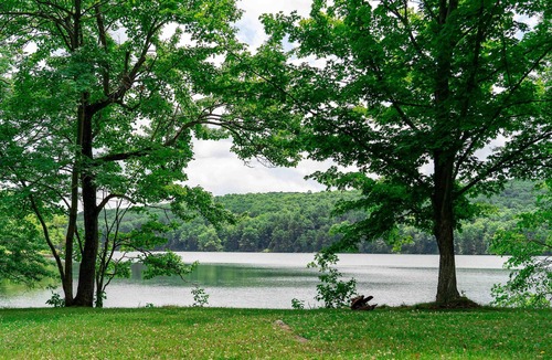 Ancram RV Rental | Tentrr State Park Site - Lake Taghkanic Lakeside Triple - Site A