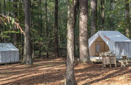 Morton RV Rental | Tentrr State Park Site - Mississippi Roosevelt State Park - Tall Trees C - Singl