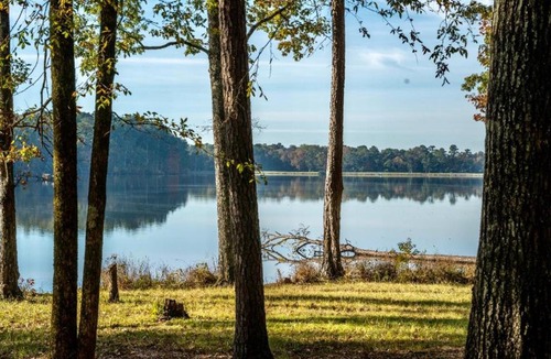 Morton Other | Tentrr State Park Site - Mississippi Roosevelt State Park - Tall Trees B - Single Camp