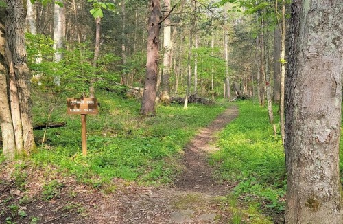 Swanton Other | Tentrr State Park Site - Big Run State Park - Site E