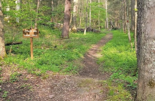 Swanton RV Rental | Tentrr State Park Site - Big Run State Park - Site A