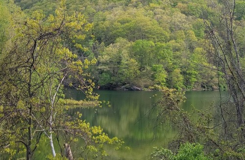 Swanton RV Rental | Tentrr State Park Site - Big Run State Park - Site A