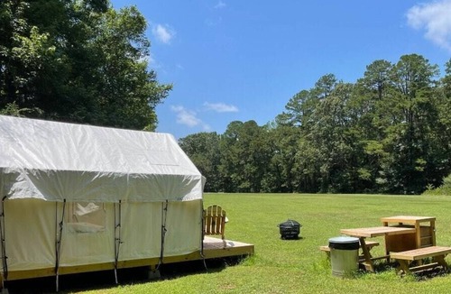 Holly Springs RV Rental | Tentrr State Park Site - Mississippi Wall Doxey State Park - Fresh Field E - Sin