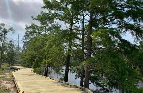 Lake Charles RV Rental | Tentrr State Park Site - Louisiana Sam Houston Jones State Park - Lagoon View B