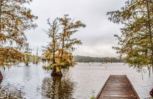 Saint Landry RV Rental | Tentrr State Park Site - Louisiana Chicot State Park - Site D - Single Camp