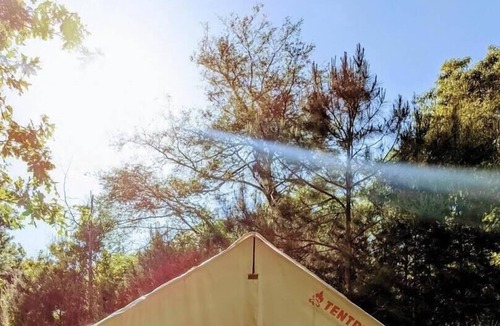 Saint Landry RV Rental | Tentrr State Park Site - Louisiana Chicot State Park - Site D - Single Camp