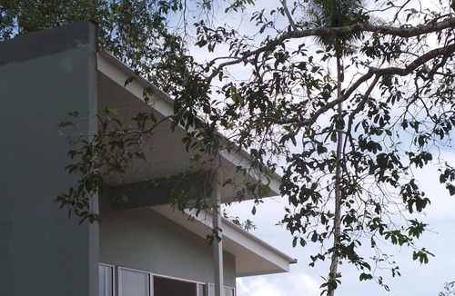 Kampung Kedawang Villa | Terang Bulan Langkawi Paddy Field Villa